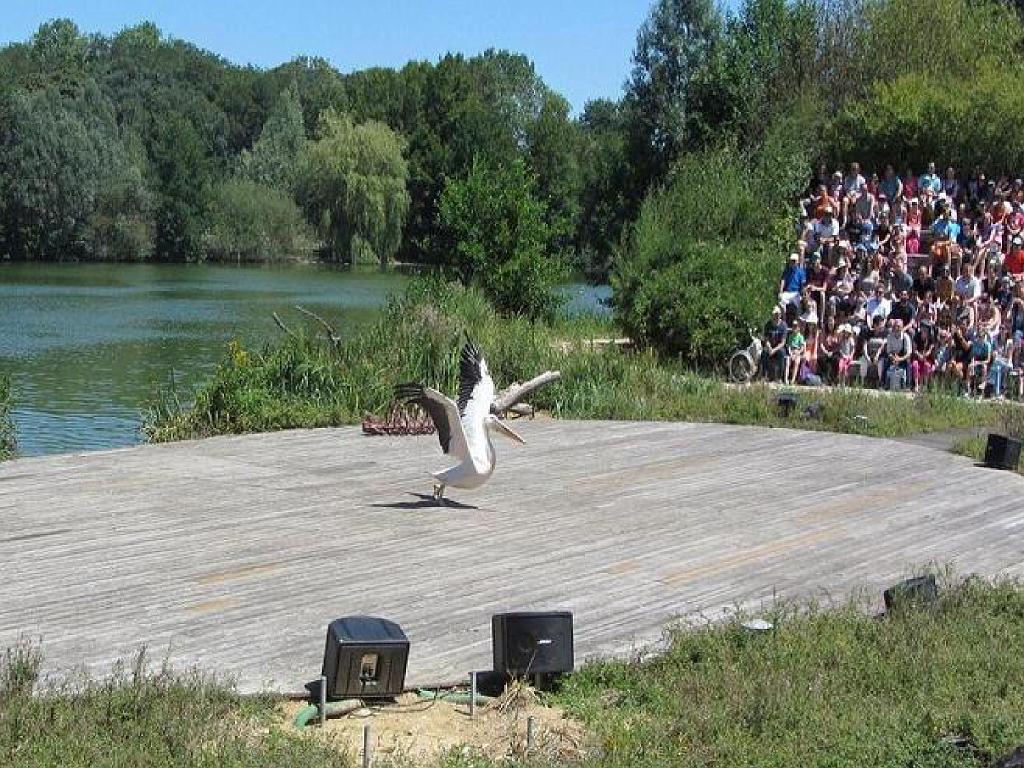 101PARC AUX OISEAUX DANS L AIN 2016 3_000040.jpg